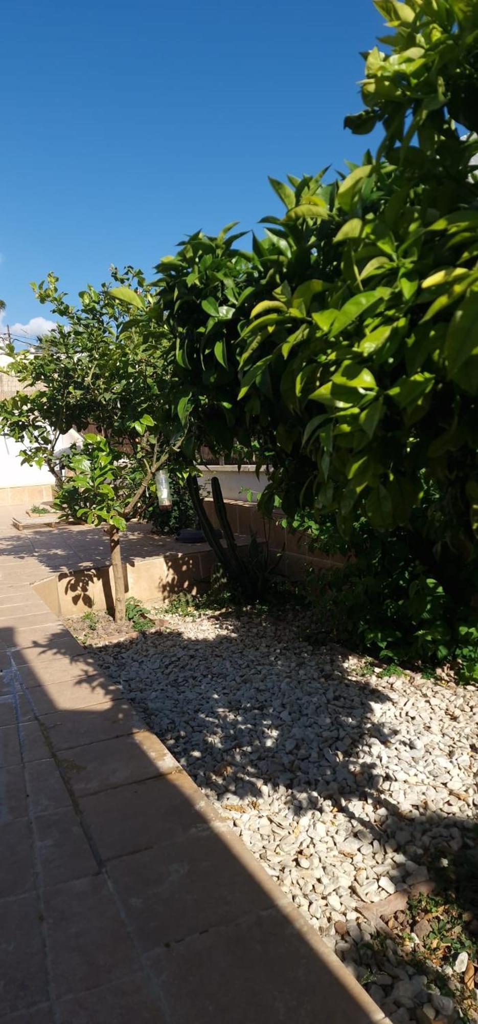 Maestranza Apartamento Berja Exterior foto